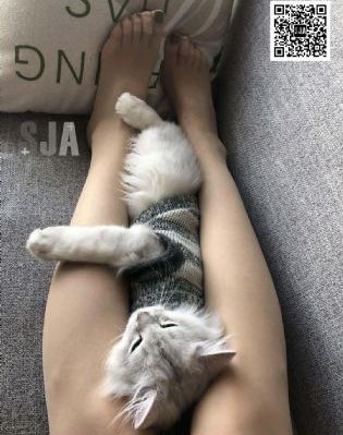 国产103页的_免费观看